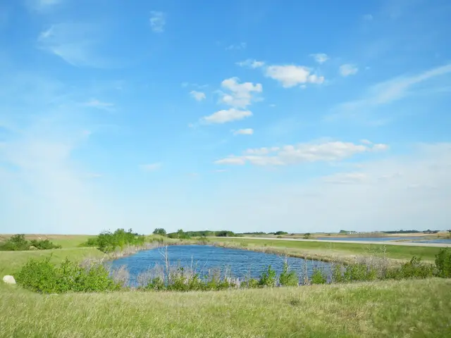 Prairie slough under blue sky
