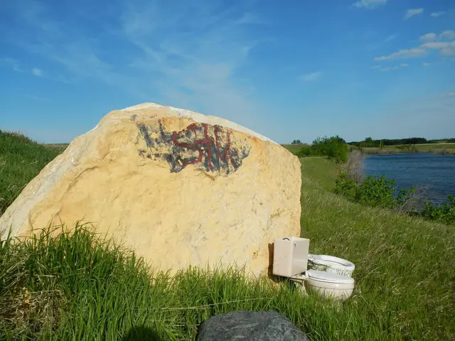 Painted boulder and toilet beside a slough